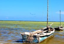 Vive el sur profundo dominicano y descubre la Laguna de Oviedo, uno de esos lugares mágicos para adentrarse en la naturaleza caribeña Yolas en la Laguna de Oviedo