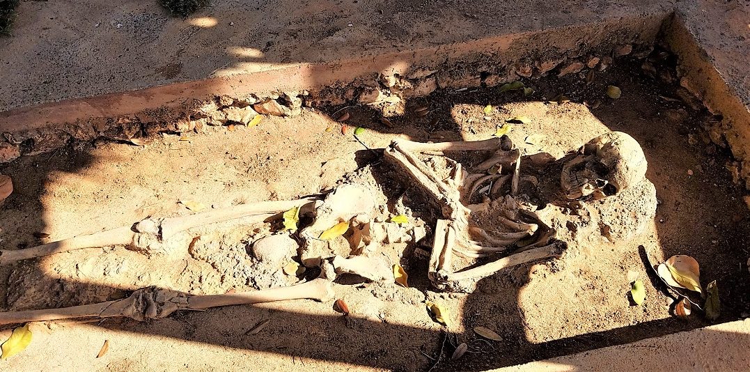 Los arqueólogos ubicaron el cementerio de la ciudad en el que aún reposan esqueletos enteros.
