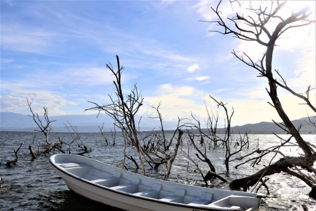 Embarcaci&oacute;n anclada a orilla del Lago Enriquillo.
