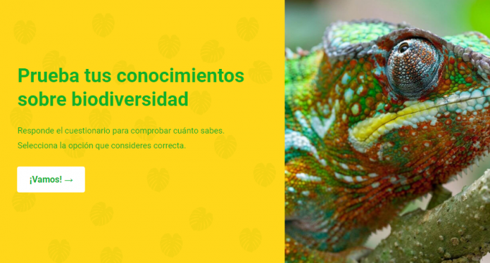 ¿Qué sabes sobre biodiversidad? Ponte a prueba en el Día Mundial del Ambiente