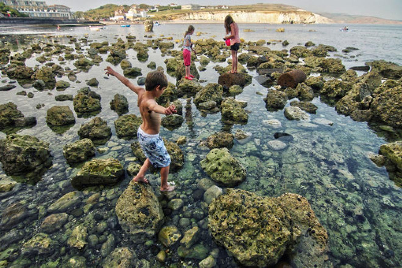 Reserva de la Isla de Wight, en el Reino Unido. Foto Portal de la ONU.