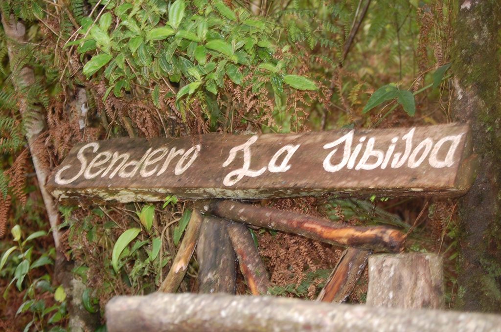 Jarabacoa, Dajabón, Jamao o Barahona, a dónde quieres para abrir las aventuras del 2021