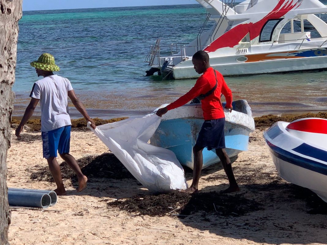 Jóvenes recogen basura en las playas de Punta Cana durante la jornada.