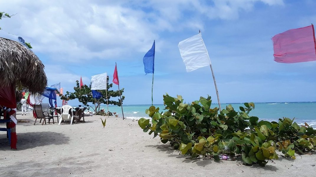Playa-Rogelio-Bulevar-del-pescado-Gaspar-Hernández