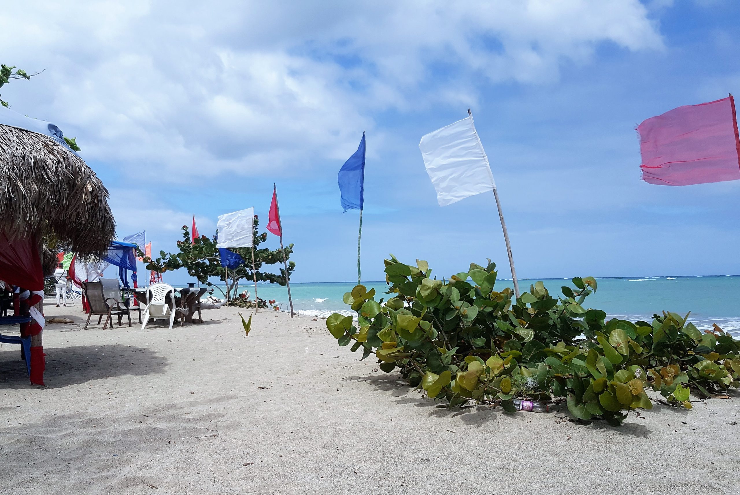 Playa-Rogelio-Bulevar-del-pescado-Gaspar-Hernández