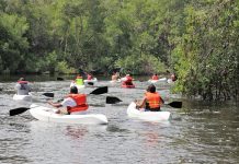 Vive la experiencia de un día de kayak en Estero Balsa en la Bahía de Manzanillo