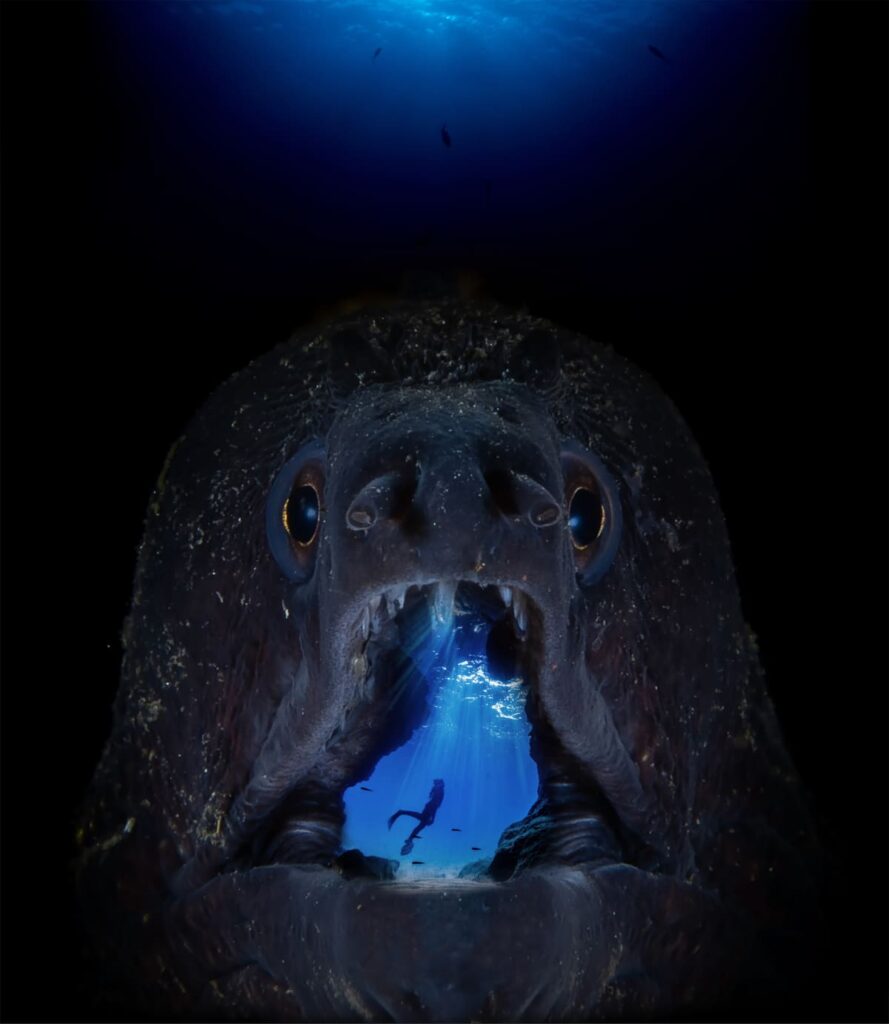 Fotografía ganadora del concurso fotográfico de las Naciones Unidas con motivo del Día Mundial de los Océanos. Categoría: Arte fotográfico digital del océano. Ganador Francisco 'Paco' Sedano. España