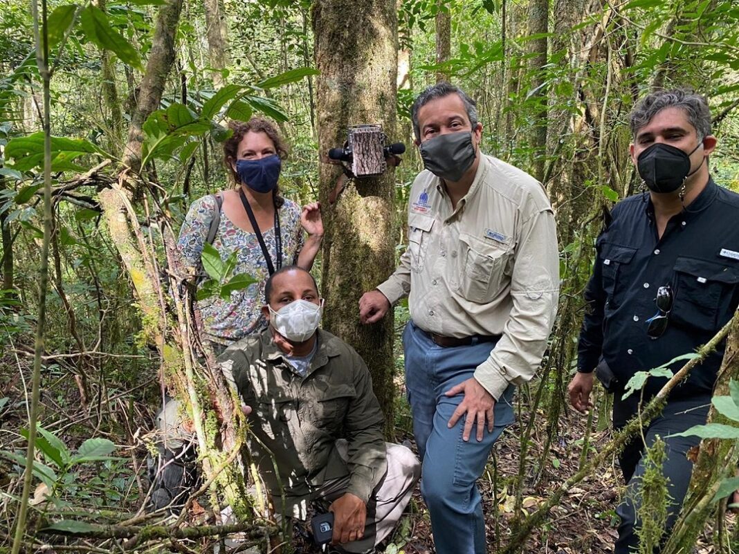 Integrantes del Grupo Jaragua junto al ministro de Medio Ambiente el fin de semana en una visita a los arbolitos que sembraron en la Sierra de Bahoruco hace un año. “Viven y los seguiremos cuidando con un cariño especial en su memoria” expresa el Grupo en un portal de Facebook.
