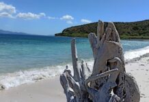 La costa suroeste dominicana siempre está caliente y Azua te espera con sus playas y su gastronomía que sorprenden