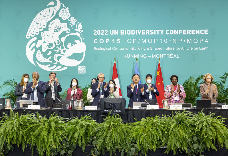Conferencia de las Naciones Unidas sobre Biodiversidad (COP15) 