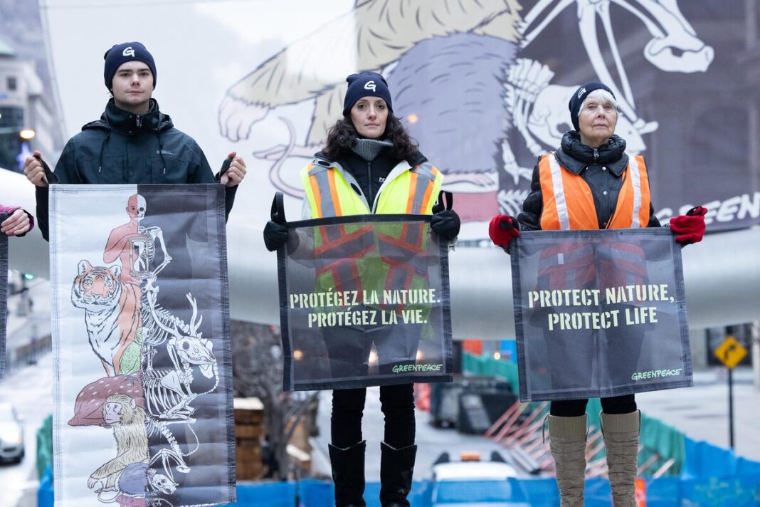 Activistas de Greenpeace Canadá lanzan una pancarta de 46 pies de altura dentro de la estructura l'Anneau de Montreal, inmediatamente después de la inauguración de la Conferencia de Biodiversidad de la ONU (COP 15).