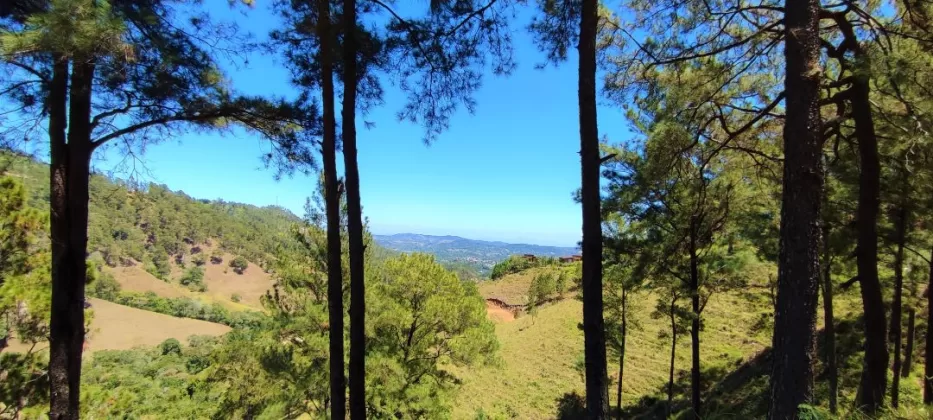 Vista del valle de Jarabacoa desde un bosque alto de pinos.