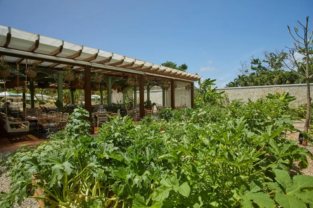 Cayo Levantado Resort El Conuco Restaurant Santa Yuca.
