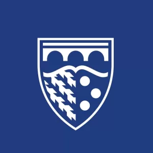 Logo de Brand Finance