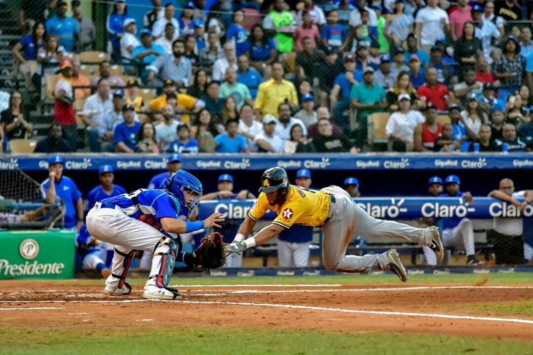 Pelota invernal dominicana 