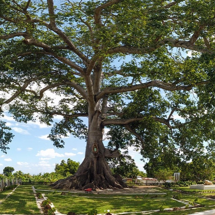 Medio Ambiente firma acuerdos de comanejo para el Parque Nacional ...