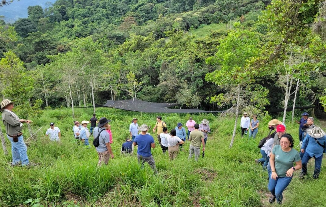 La Semana Mundial del Agua 2024 se enfocó en la cooperación hídrica, bajo el lema “Uniendo fronteras: agua para un futuro pacífico y sostenible