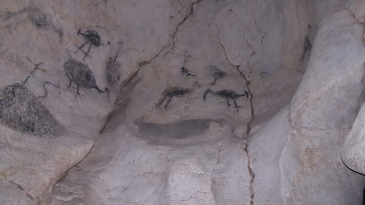 Reserva Antropológica Cuevas del Pomier”, localizada en la Sección Borbón, de la Provincia San Cristóbal,