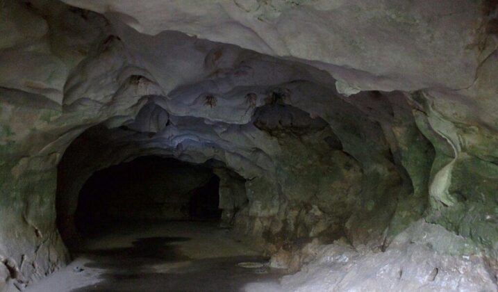Reserva Antropológica Cuevas del Pomier”, localizada en la Sección Borbón, de la Provincia San Cristóbal,