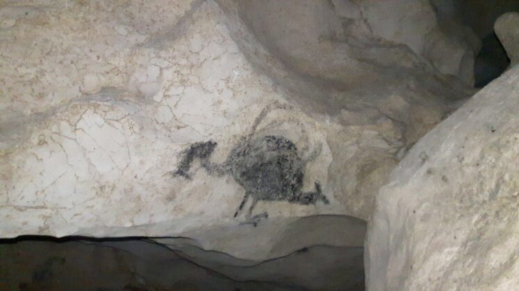 Reserva Antropológica Cuevas del Pomier”, localizada en la Sección Borbón, de la Provincia San Cristóbal,