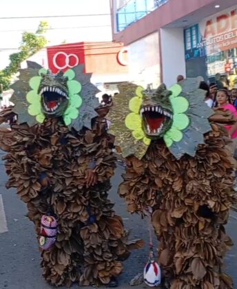 Carnaval de Cotuí