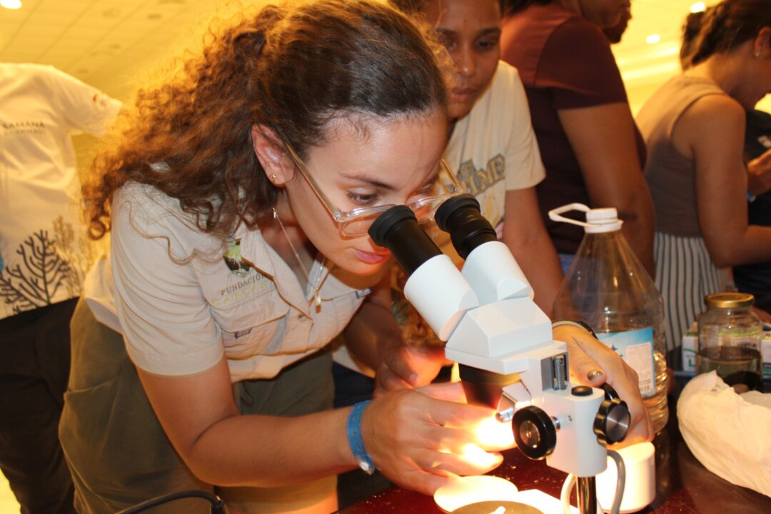 ● Durante el taller, 36 técnicos, biólogos y voluntarios fueron capacitados en protocolos estandarizados para mejorar la recopilación de datos y la toma de decisiones científicas en la conservación de tortugas marinas.