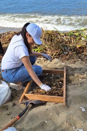 Colaboradora durante la limpieza de playa