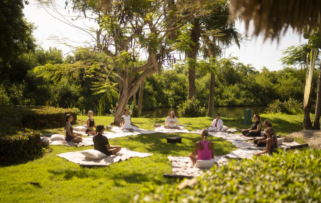 La experiencia SUDA incluye prácticas sobre esteras de yoga en contacto directo con la naturaleza, integrando movimientos conscientes, respiración guiada, meditación, entre otros.