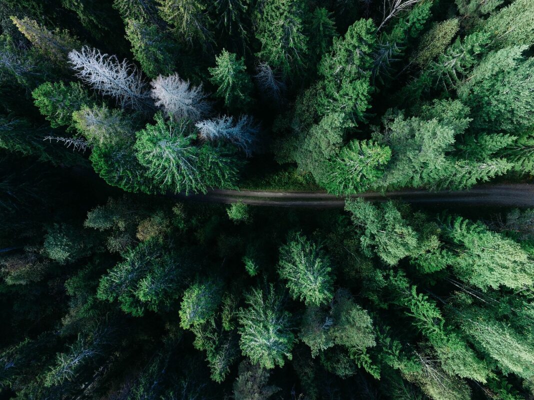 El Rastreador de Políticas ESG Global del WTTC está diseñado para ayudar a las empresas de viajes y turismo a navegar por entornos regulatorios complejos e integrar consideraciones de sostenibilidad en las decisiones comerciales centrales.