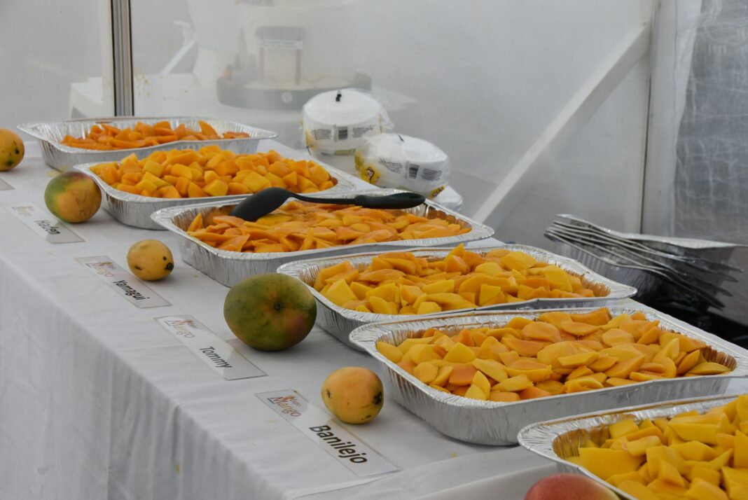 Expo Feria cuenta cada año con el apoyo del Ministerio de Agricultura, el Clúster del Mango, Promango, el Ayuntamiento de Baní, ProDominicana, Ministerio de Turismo, la Cámara de Comercio, entre otras instituciones.