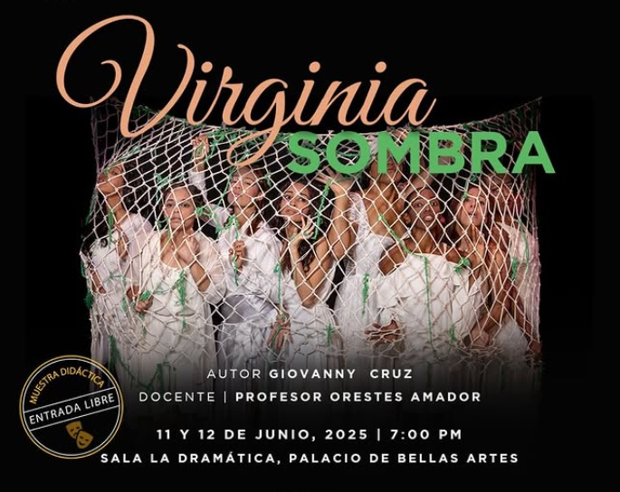 Virginia Sombra en Bellas Artes el 11 y 12 de junio