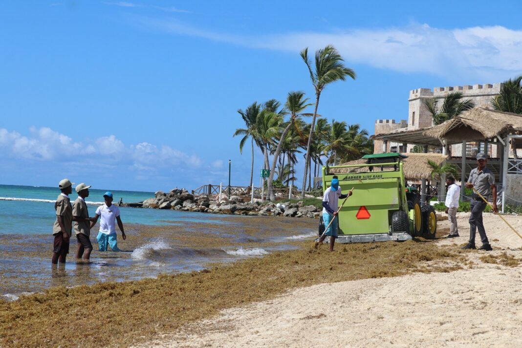 Equipos trabajando en la recolección de sargazo en una playa del este de República Dominicana