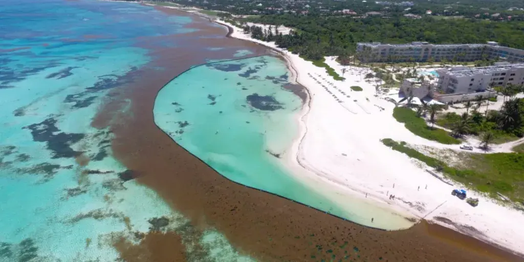 Foto aérea de una barrera contra el sargazo en una playa del este de República Dominicana