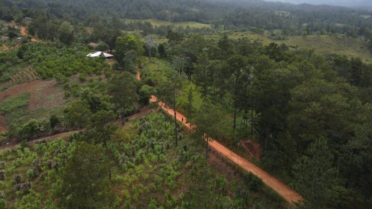 Vista a&eacute;rea del actual camino vecinal que se convertir&aacute; en una carretera asfaltada en ocho meses.