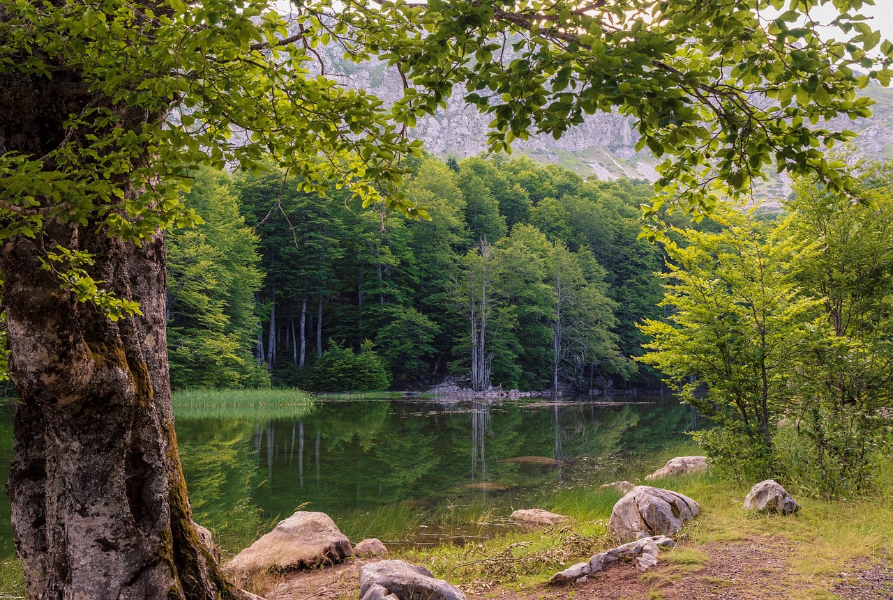 En la Reserva de biósfera Madre de las Aguas se combinan los paisajes para disfrutar el ecoturismo.