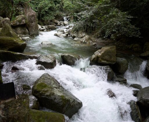 Rio caudaloso en la Reserva de biósfera Madre de las aguas