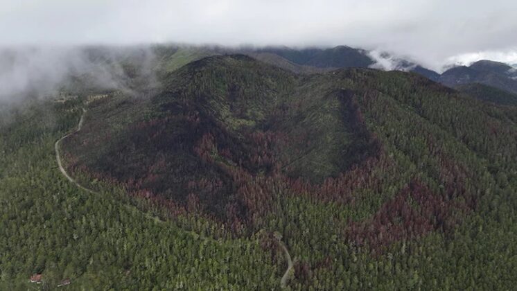 Vista aérea de Valle Nuevo luego de un incendio que afectó la zona.