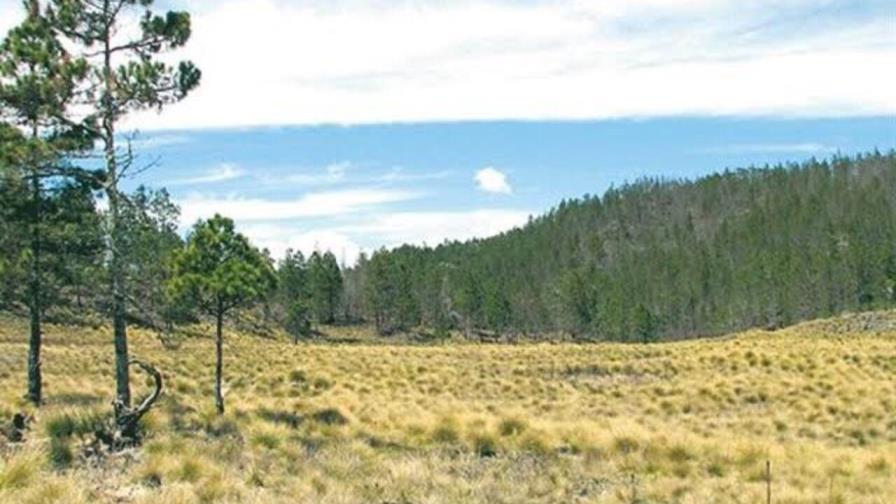 Vista de Valle Nuevo en la cordillera central de República Dominicana que forma parte central de la Reserva Biósfera Madre de las Aguas