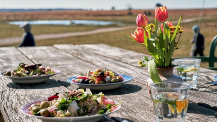 CopenPay-2025 Vegetarian-meals Foto de VisitCopenhagen