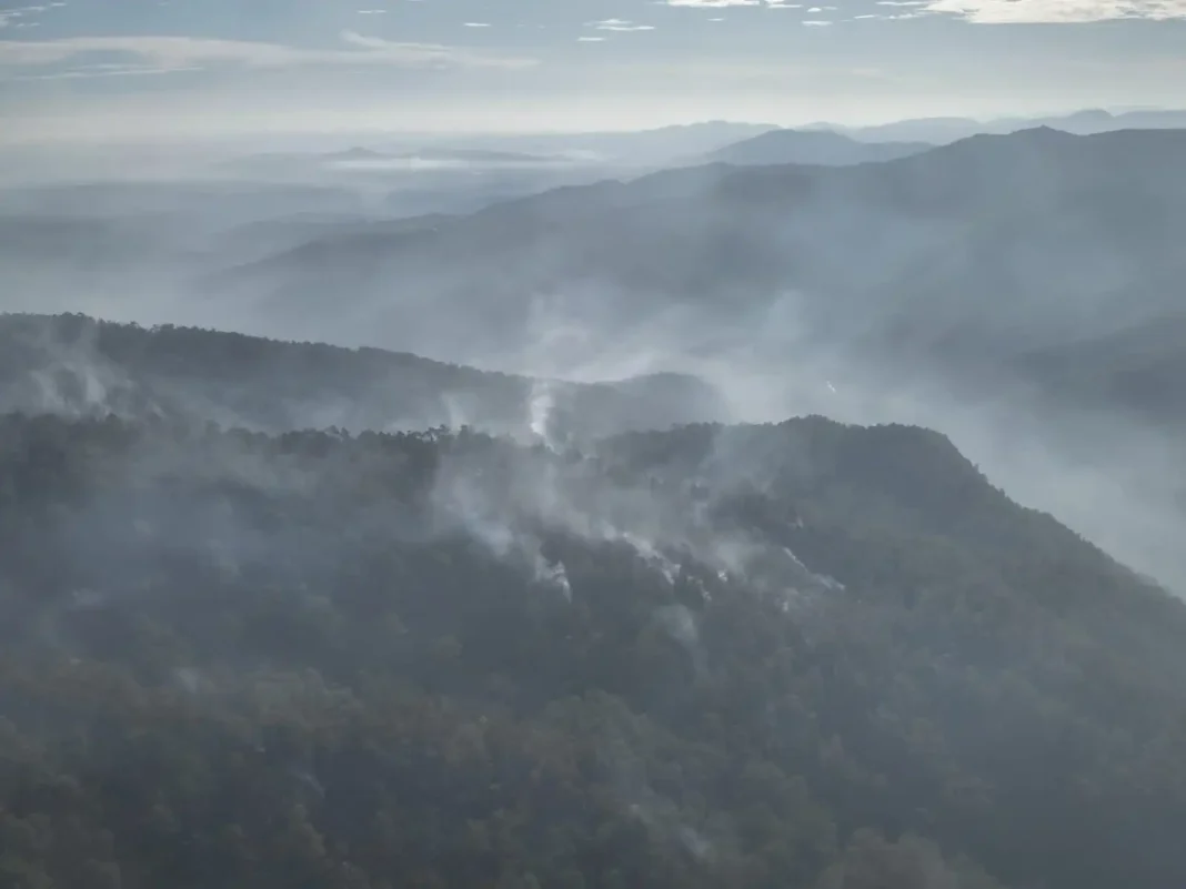 Humaredas aún salen de los escombros de árboles y maleza destruidas por un incendio en el Parque Armando Bermúdez ya controlado