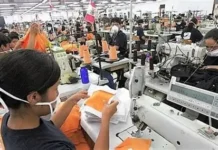 Más de 164 mil entran a nuevos empleos formales y 43 mil salen de lo informal revela el Banco Central ElBanco Central indica que la tasa de informalidad se ubicó en 54.0 % en el segundo trimestre de 2025, para una reducción de 2.2 p.p. con respecto a igual período del año anterior.