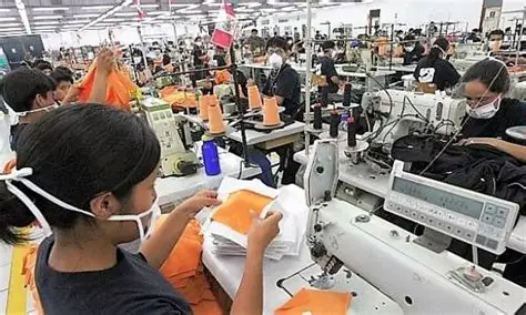 ElBanco Central indica que la tasa de informalidad se ubicó en 54.0 % en el segundo trimestre de 2025, para una reducción de 2.2 p.p. con respecto a igual período del año anterior.