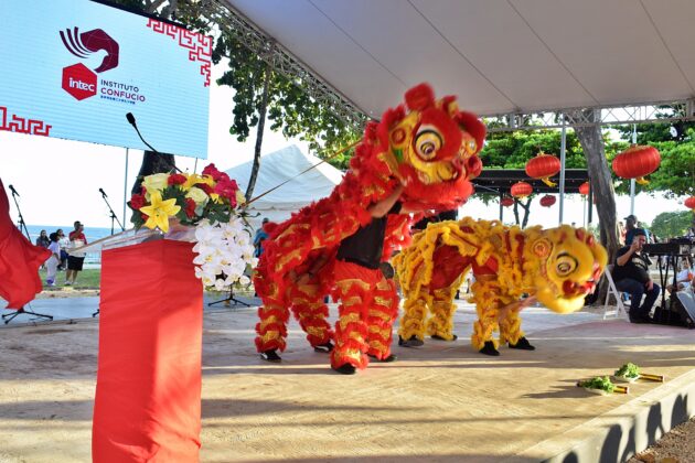 Danza del leon.