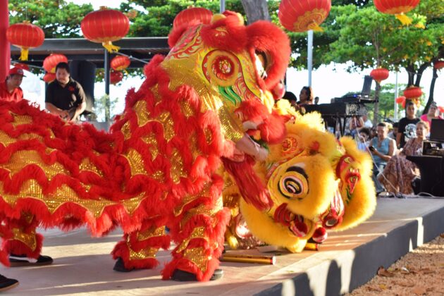 - Danza del leon.