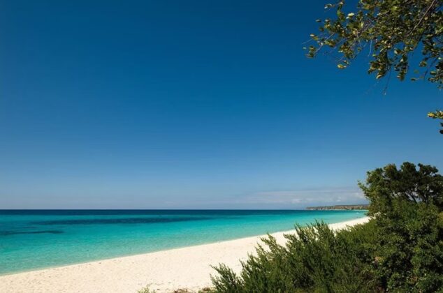 Con sus aguas cristalinas de color turquesa y sin hoteles, tiendas o restaurantes, Bah&iacute;a de las &Aacute;guilas, en Pedernales, tiene ocho kil&oacute;metros de color blanco diamante es reconocida como la m&aacute;s hermosa de Rep&uacute;blica Dominicana.