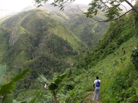 Elevados como sierras dentro del Parque Nacional Sierra del Bahoruco