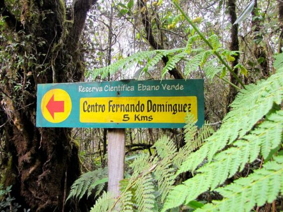 Paisajes de la Reserva Cient&iacute;fica &Eacute;bano Verde 6