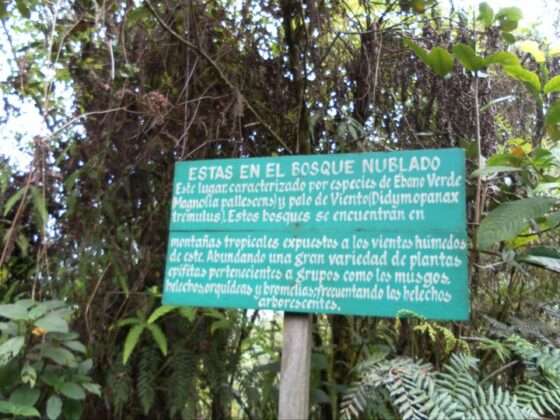 Paisajes de la Reserva Cient&iacute;fica &Eacute;bano Verde 8