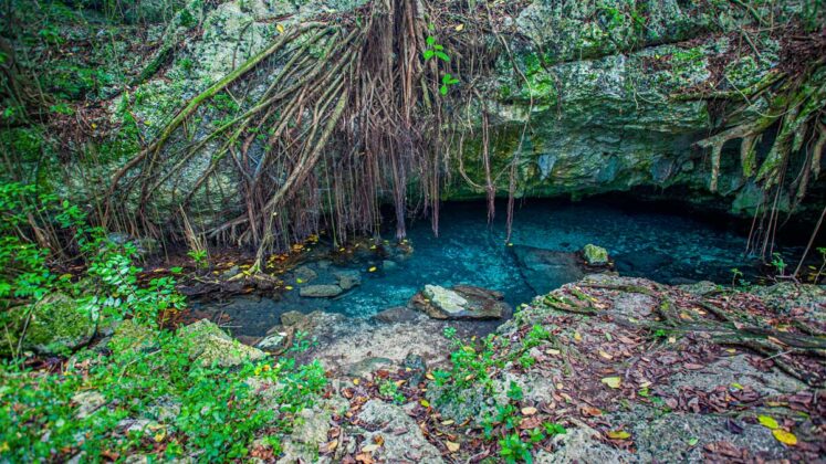 Se&ntilde;alizaciones en el Parque Nacional del Este