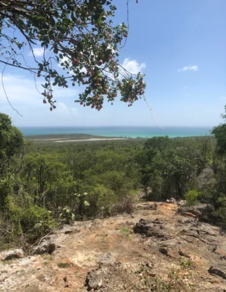 Sendero Playa Trudill&eacute;, Parque Nacional Jaragua